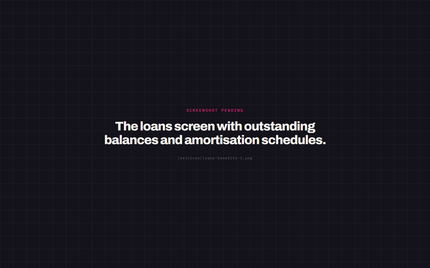 The loans screen with outstanding balances and amortisation schedules.
